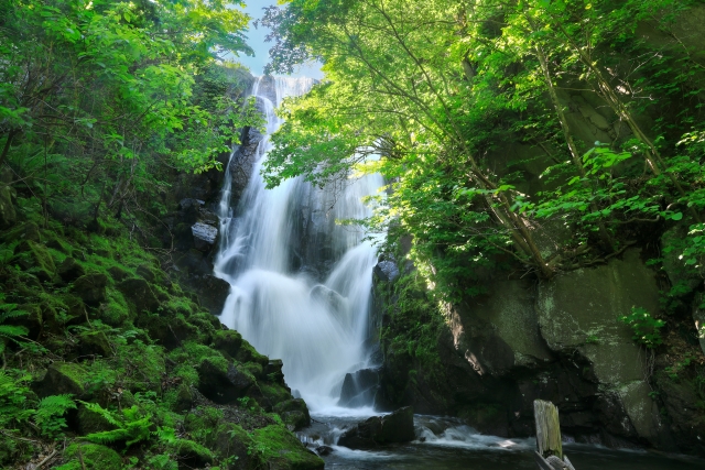 管理人(山田)